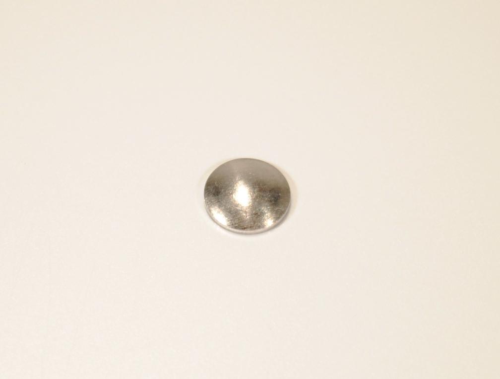 Welch Raisman Repl OEM 179-59